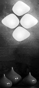 LEUCOS